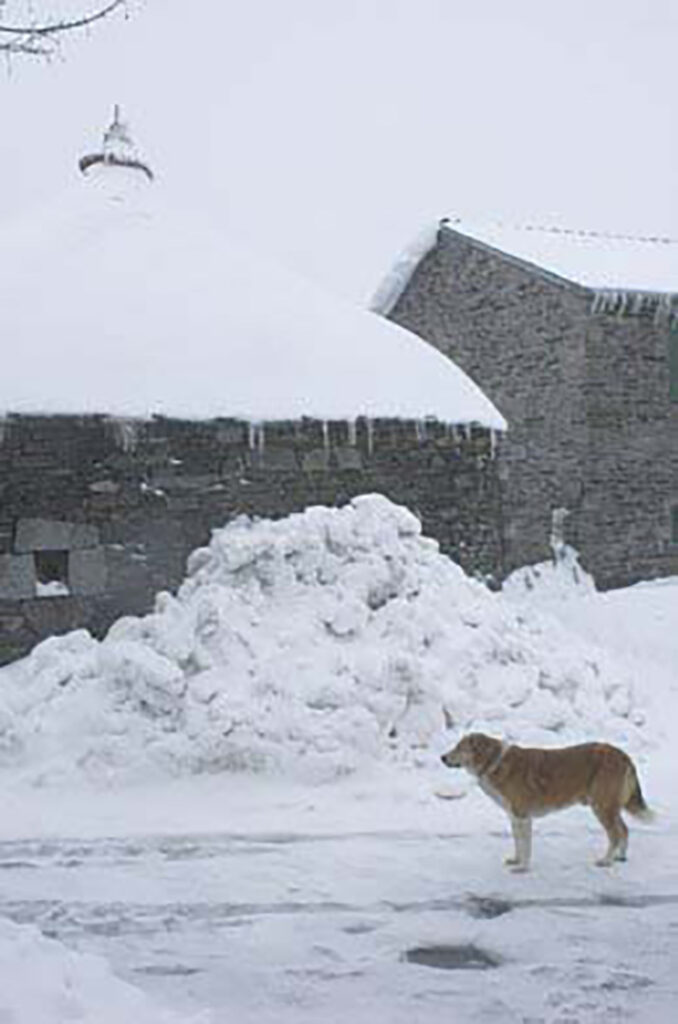 Paisaje nevado en o Cebreiro, Lugo.